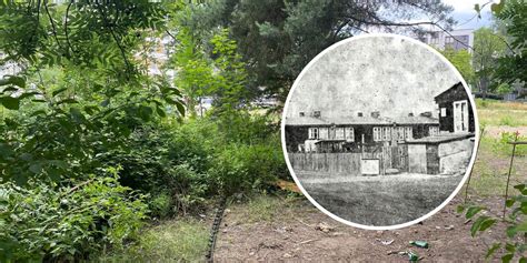 zdjęcie przedstawiające zaniedbany teren dawnego basenu przeciwpożarowego z zaroślami i śmieciami